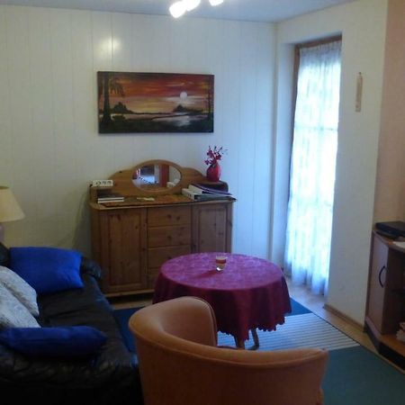 Schwarzwaldhaus Appartement Elzach Buitenkant foto