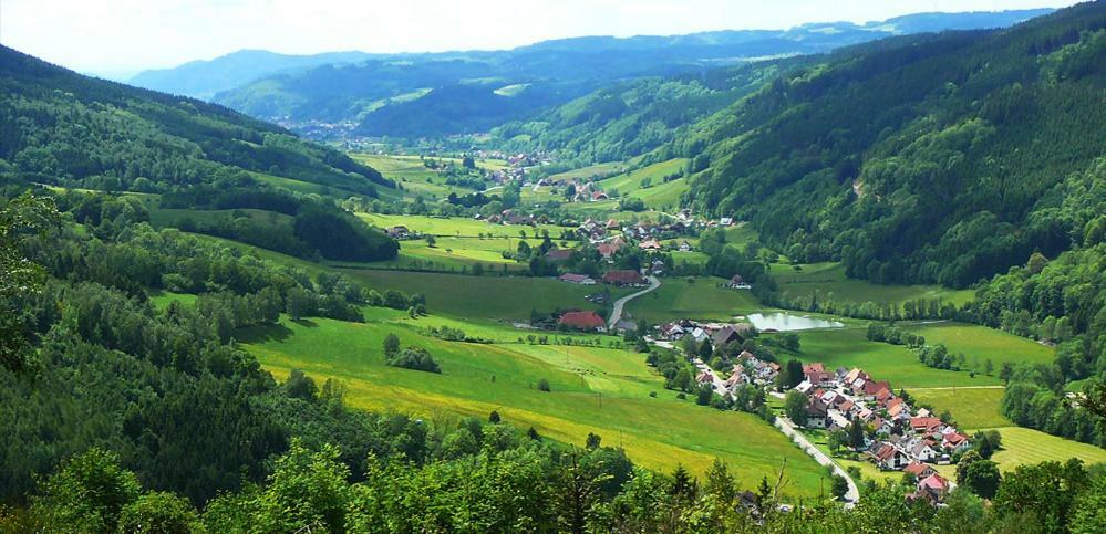 Schwarzwaldhaus Appartement Elzach Buitenkant foto