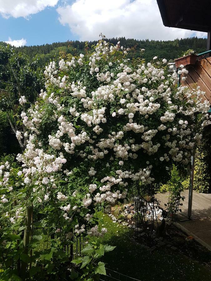 Schwarzwaldhaus Appartement Elzach Buitenkant foto